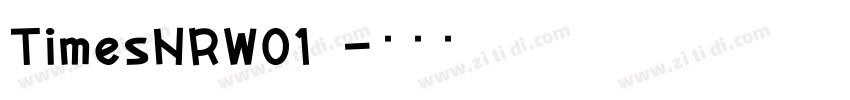 TimesNRW01 字体转换